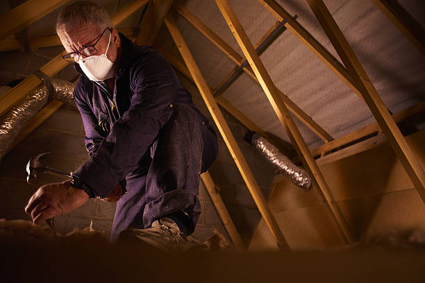 Insulation Repair Services in Angels, CA